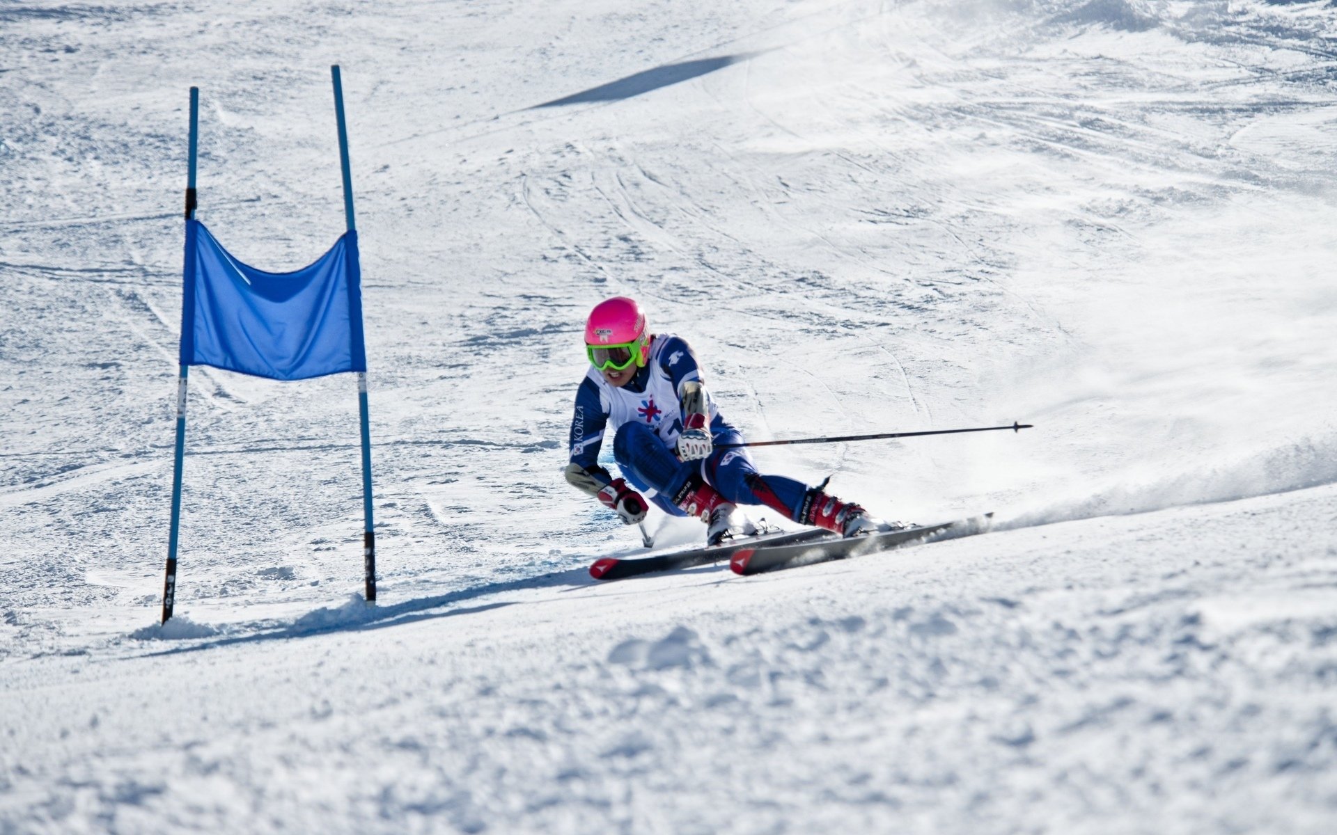 以便我为您生成对应的标题。
